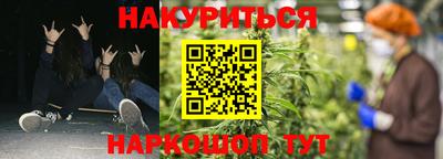 эйфоретик Гай