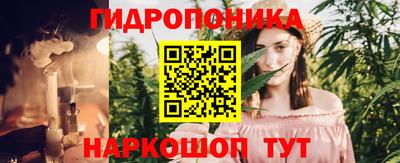 скорость Гатчина
