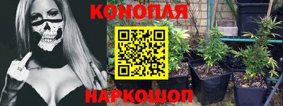 эйфоретик Гай