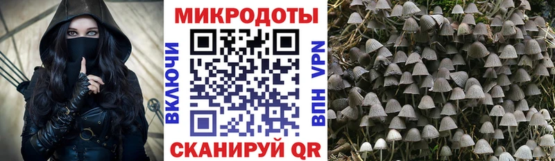 Псилоцибиновые грибы Psilocybine cubensis  Фурманов 