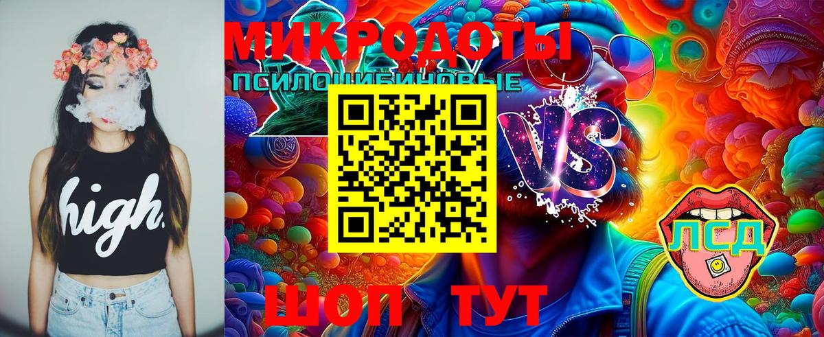 Псилоцибиновые грибы Cubensis Фурманов