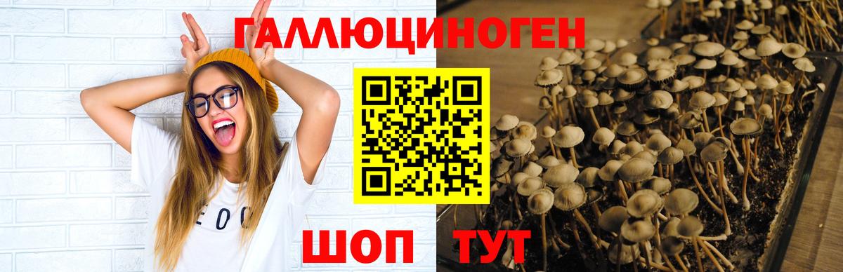Галлюциногенные грибы Psilocybine cubensis  Вход с VPN  Псилоцибиновые грибы Cubensis  Фурманов 